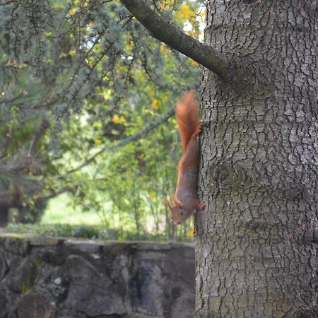 Domaine Insolite Du Petit Moras Chomérac Eksteriør billede