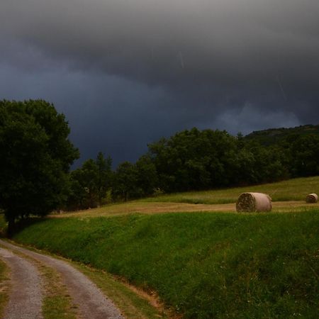 Domaine Insolite Du Petit Moras Chomérac Eksteriør billede